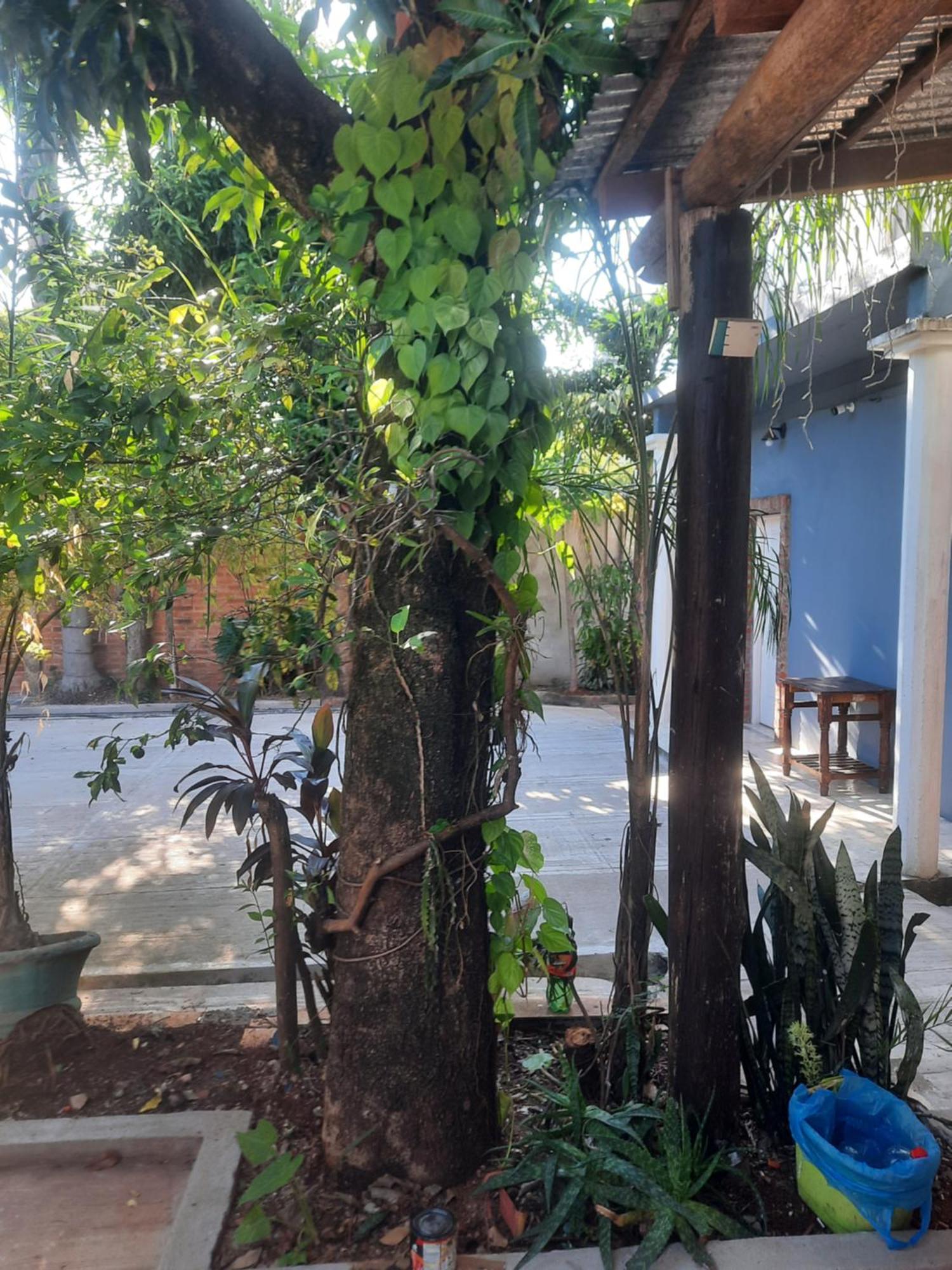 La Posada De Dante Puerto Iguazú Kültér fotó